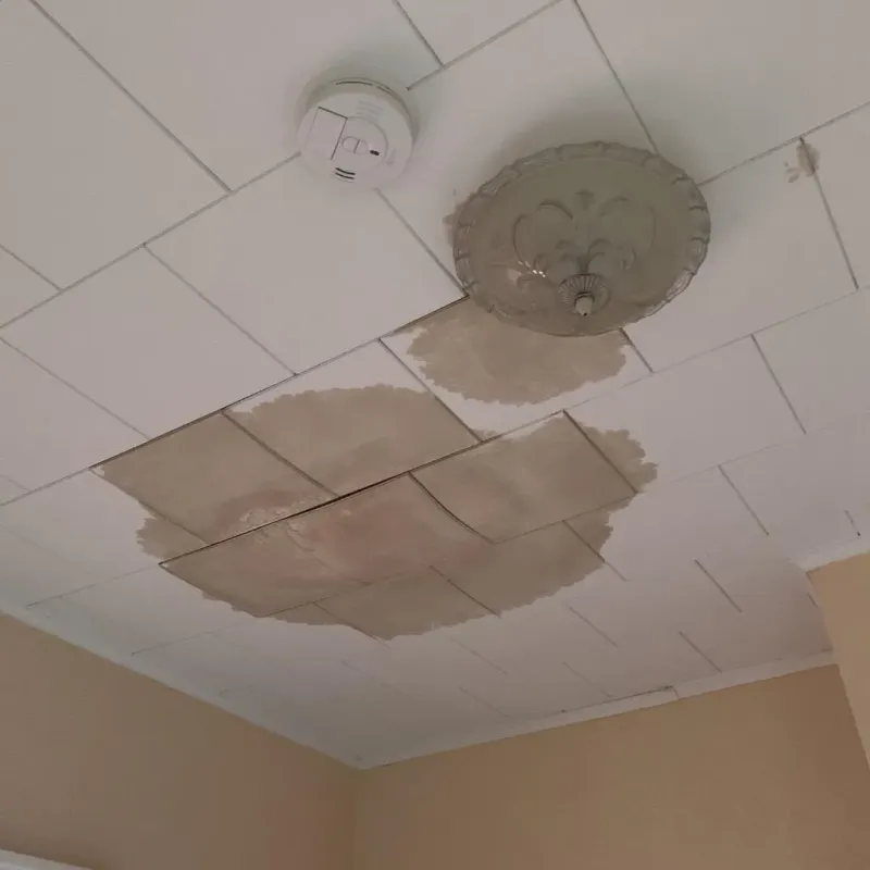 Ceiling Water Damage Repair in Crawford County, OH