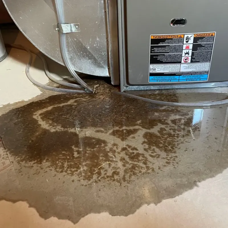 Pipe Burst and Leak Restoration in Crawford County, OH